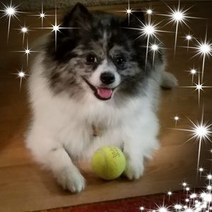 Meet your Posher, Anne